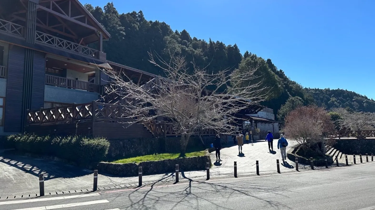 阿里山日帰りツアー 写真2