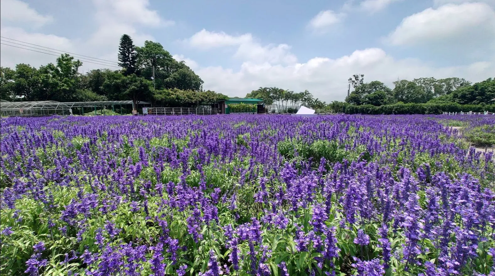台中日帰りツアー 写真6