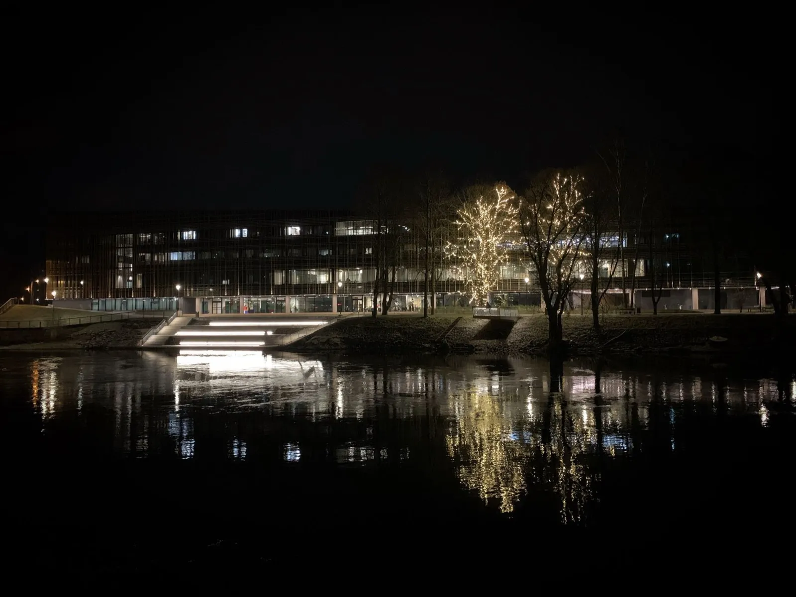 河岸夜景,一棵掛滿燈串的樹與建築燈光倒映在水面上,台中耶誕嘉年華綠川柳川水岸燈景